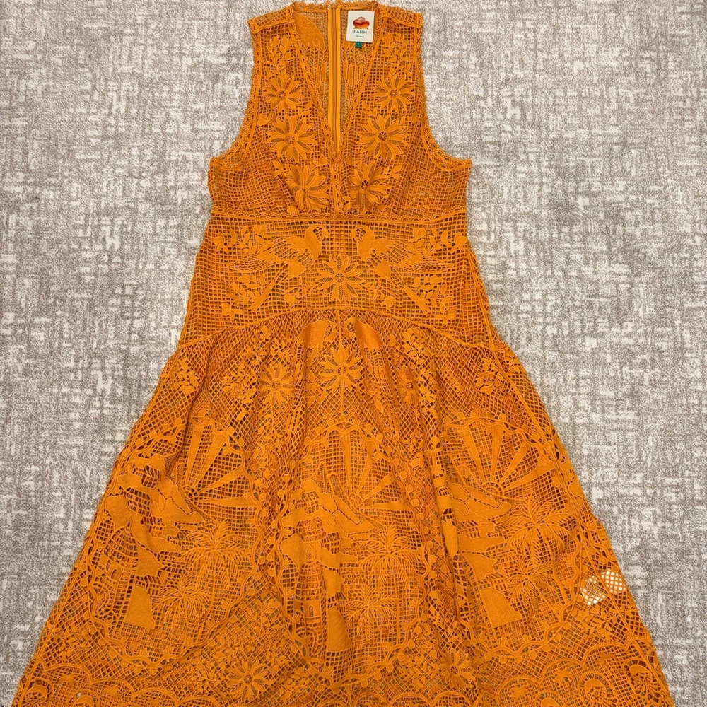 Farm Rio tropical lace parrot Midi Dress - Picture 10 of 12